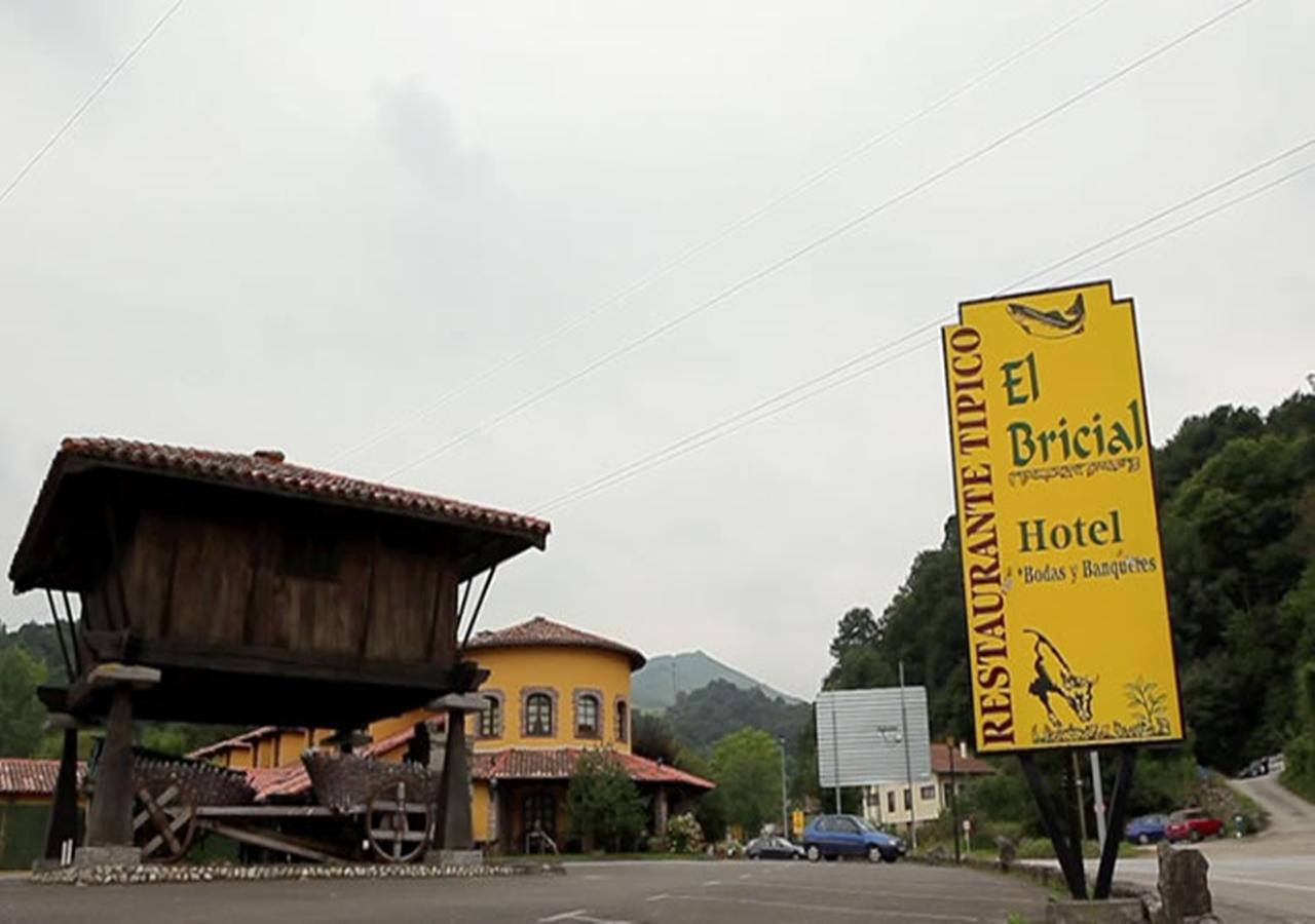 Hotel El Bricial Soto De Cangas Εξωτερικό φωτογραφία
