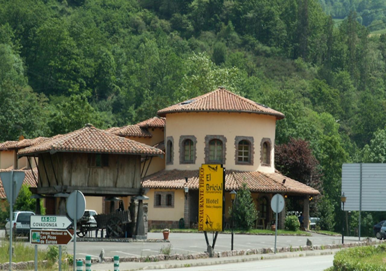 Hotel El Bricial Soto De Cangas Εξωτερικό φωτογραφία